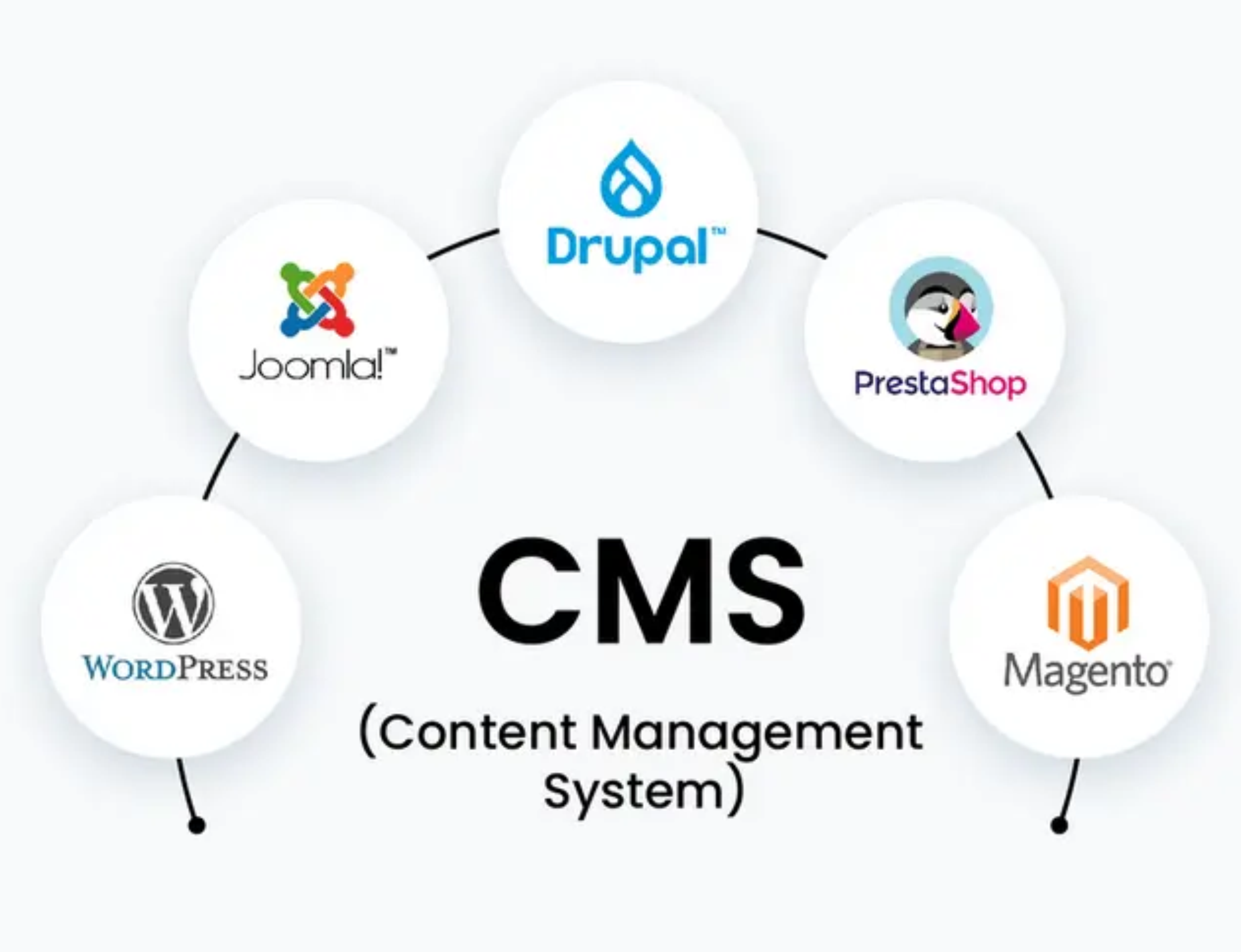 Cms system zarządzania treścią